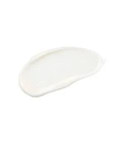 Clearance Maple Energy Infusing Cream Feuchtigkeitscremes|Vegan Pflege