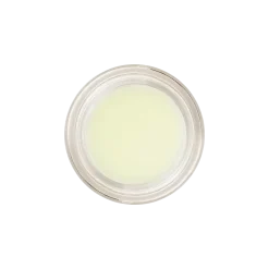 New Mint Lippenbalsam|Lippenbalsam