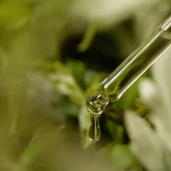 Best Mugwort Serum Problemlösende Seren