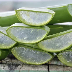 100% Natural Aloe Vera Oil 11 Schritte Haarpflege Routine|Haar Olie & Serum