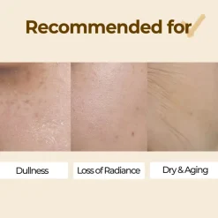 Best No.3 Radiance Glowing Jumbo Essence Pad Hauptzutat|Toner Pads