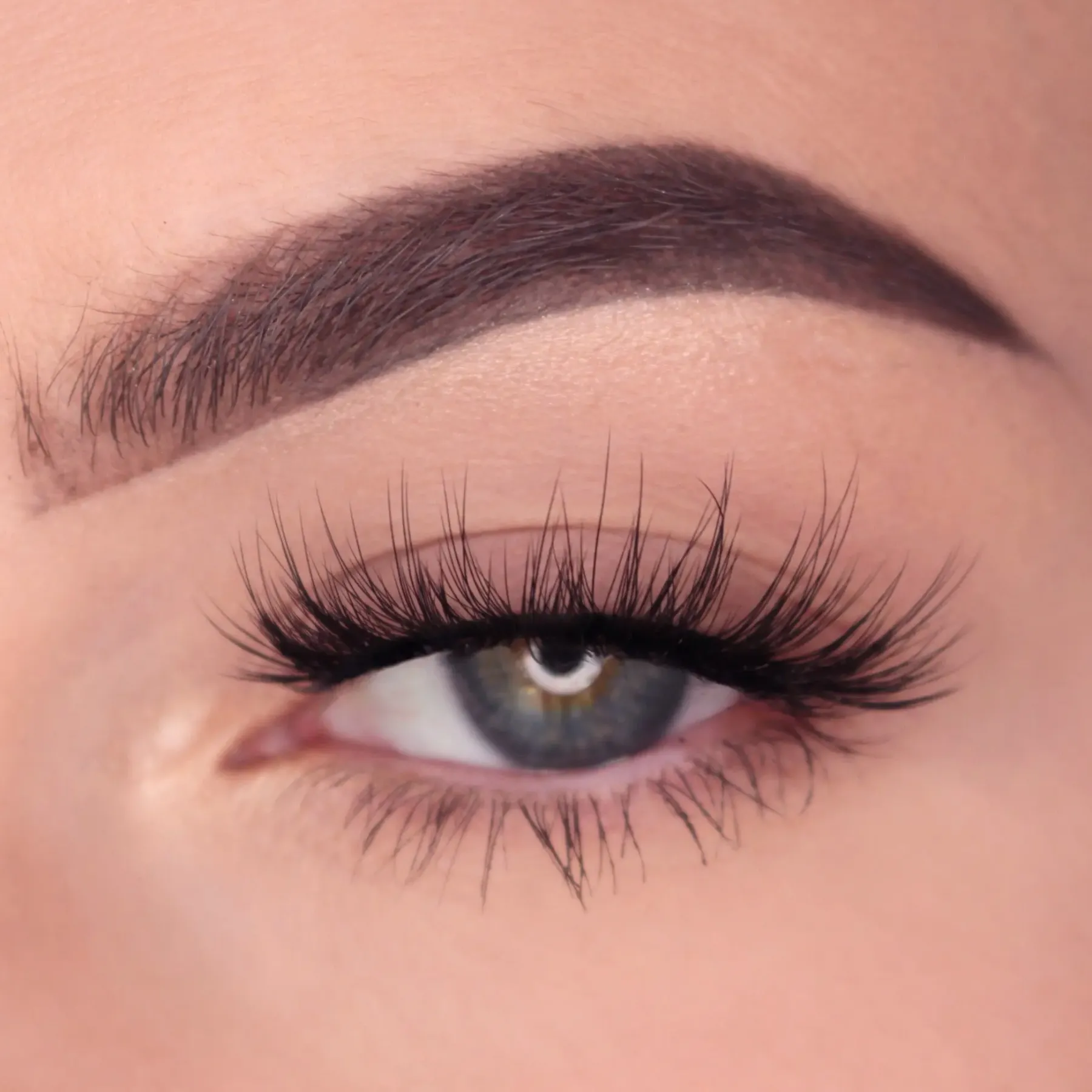 Nora Lashes Künstliche Wimpern|Clean Beauty