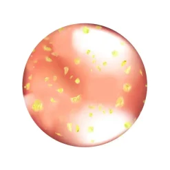 Best Nourishing Lip Oil Tangerine Twist Lipgloss|Lippen Öl