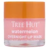 Clearance Overnight Lip Mask Watermelon Lippenbalsam|Lippenbalsam