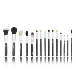 Discount 15 pc Classic Starter Set Tön Mehr|Makeup Pinsel Sets