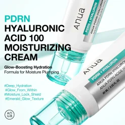 PDRN Hyaluronic Acid 100 Moisturizing Cream Mini Alle Korean Skincare|Feuchtigkeitscremes