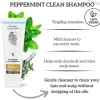 Sale Peppermint Clean Shampoo & Leave In Conditioner Haarpflege-Routinen & Sets|8. Routinen & Sets