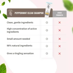 Sale Peppermint Clean Shampoo & Leave In Conditioner Haarpflege-Routinen & Sets|8. Routinen & Sets