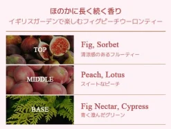 Discount Perfume Body Wash Fig Peach Oolong Tea Alle Korean Skincare|Hautprobleme