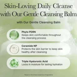 Discount Pore Melt Phyto PDRN Cleansing Balm Makeup Entferner|Hauptzutat