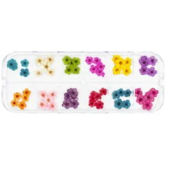 Outlet Pressed Dry Natural Petal Flower Set Nagelkunst