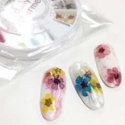 Outlet Pressed Dry Natural Petal Flower Set Nagelkunst