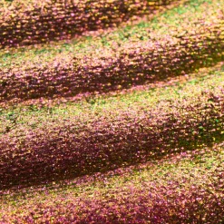 New Prismatic Shift Eyeshadow 020 Berry Blaze Lidschatten