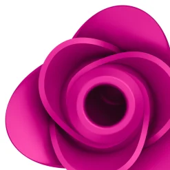 Sale Pro 2 Modern Blossom Intimität