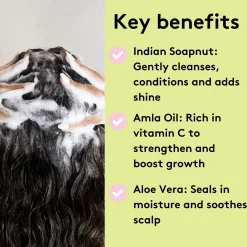 Discount Rich Roots Strengthen & Moisturise Shampoo Amla & Rosemary Hair Growth|Hauptzutat