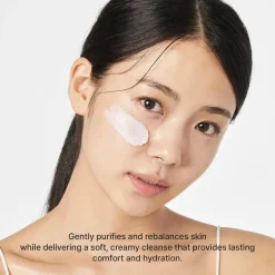 Outlet Rosehip Mild Ph Balancing Rice Cake Cleanser Hauptzutat|Reinigungsmittel