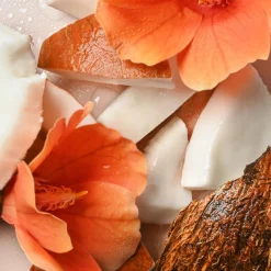 Outlet Shea Better Body Lotion Coconut Water Flip Cap Duschgel|Hautprobleme