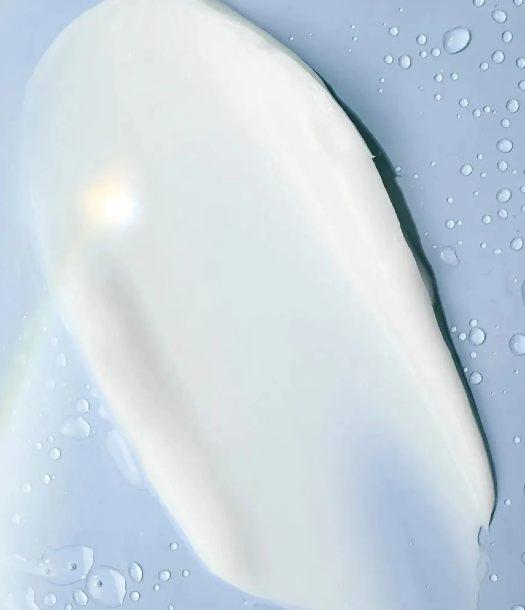 Outlet Shea Better Body Lotion Fresh & Cozy Everything Shower|Körperlotion