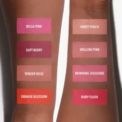 Hot Signature Ombre Blush 005 Orange Blossom Clean Beauty|Rouge