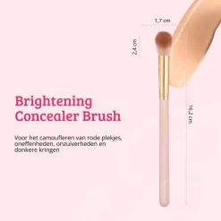 Online Soft Pink & Gold Brightening Concealer Brush Concealer|Tön Mehr