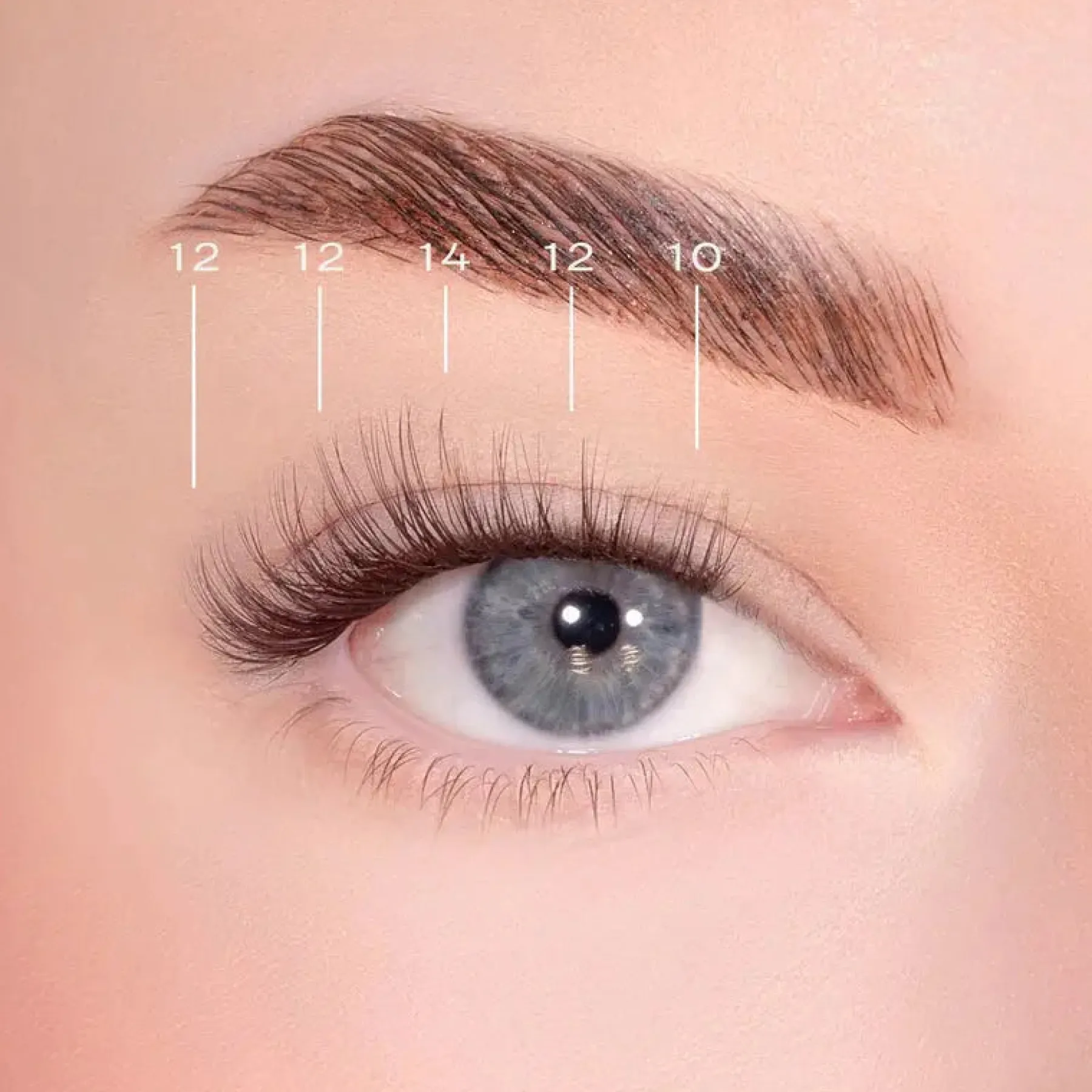 Discount Soft Wisp Dark Brown Pre-Glued Lashes Künstliche Wimpern