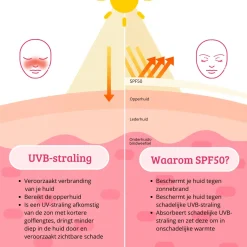 Best SPF50 Lightweight Sun Cream Clean Beauty|Hauptzutat