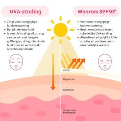 Best SPF50 Lightweight Sun Cream Clean Beauty|Hauptzutat