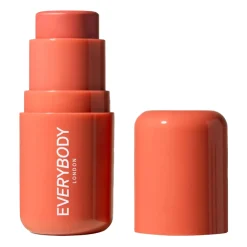 Clearance Stick Blush Peach Rouge