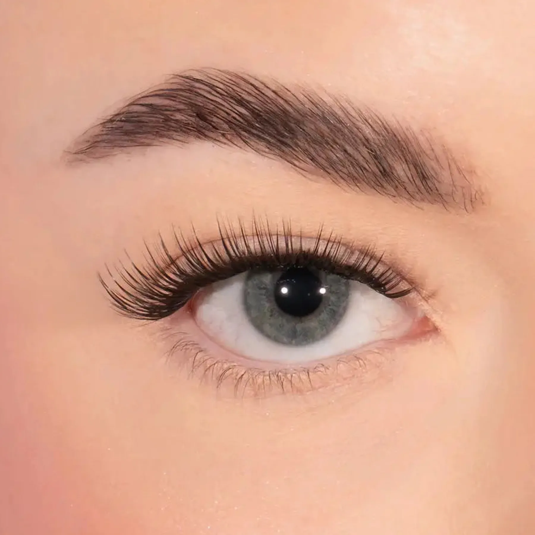 Clearance Subtle Density Pre Glued Lashes Künstliche Wimpern
