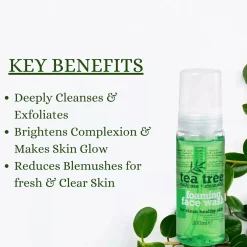 Sale Tea Tree Foaming Face Wash Hautprobleme|Reinigungsmittel