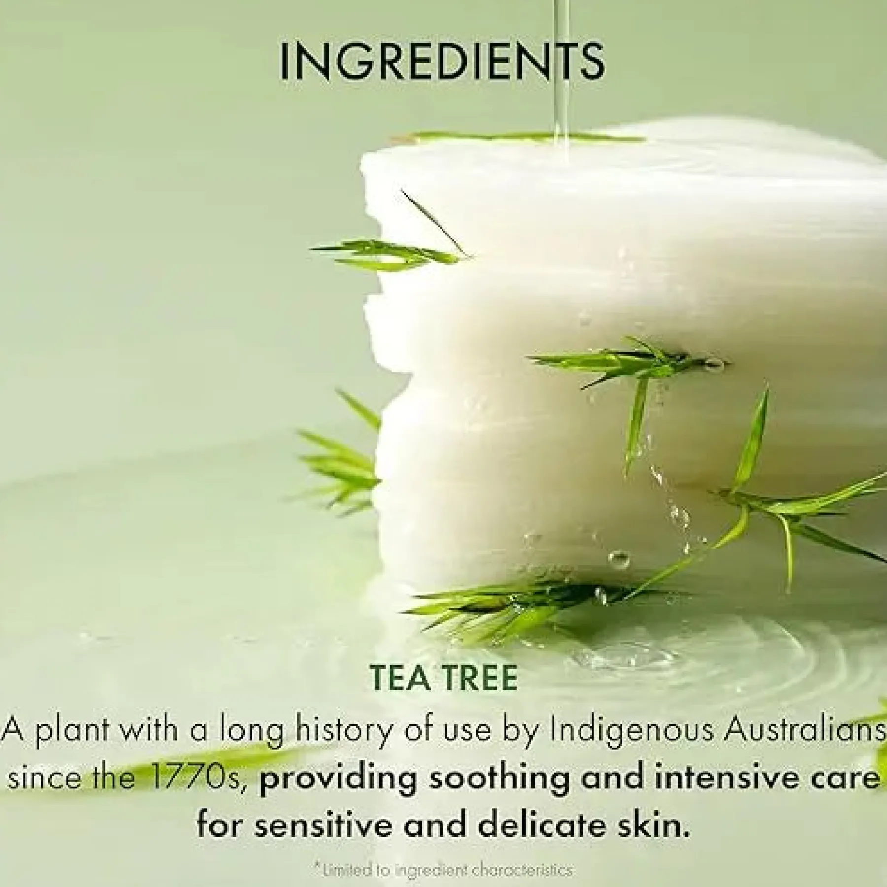 Outlet Tea Tree Purifine Toner Pad Calming Toners|Toner Pads