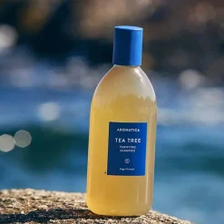 Online Tea Tree Purifying Shampoo Korean Haarpflege|Shampoo