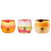 Clearance The Blooming Trio Makeup Sets|Lippenbalsam