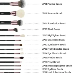 Online Ultimate Pro 14 pc Starter Full Set Tön Mehr|Makeup Pinsel Sets