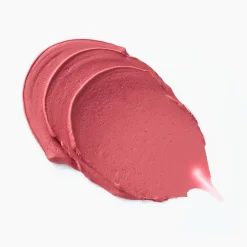 Best Velvet Pudding Blurring Blush 010 Raspberry Fudge Rouge