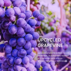 Sale Vinoberry Moisture Firming Cream Feuchtigkeitscremes|Hauptzutat