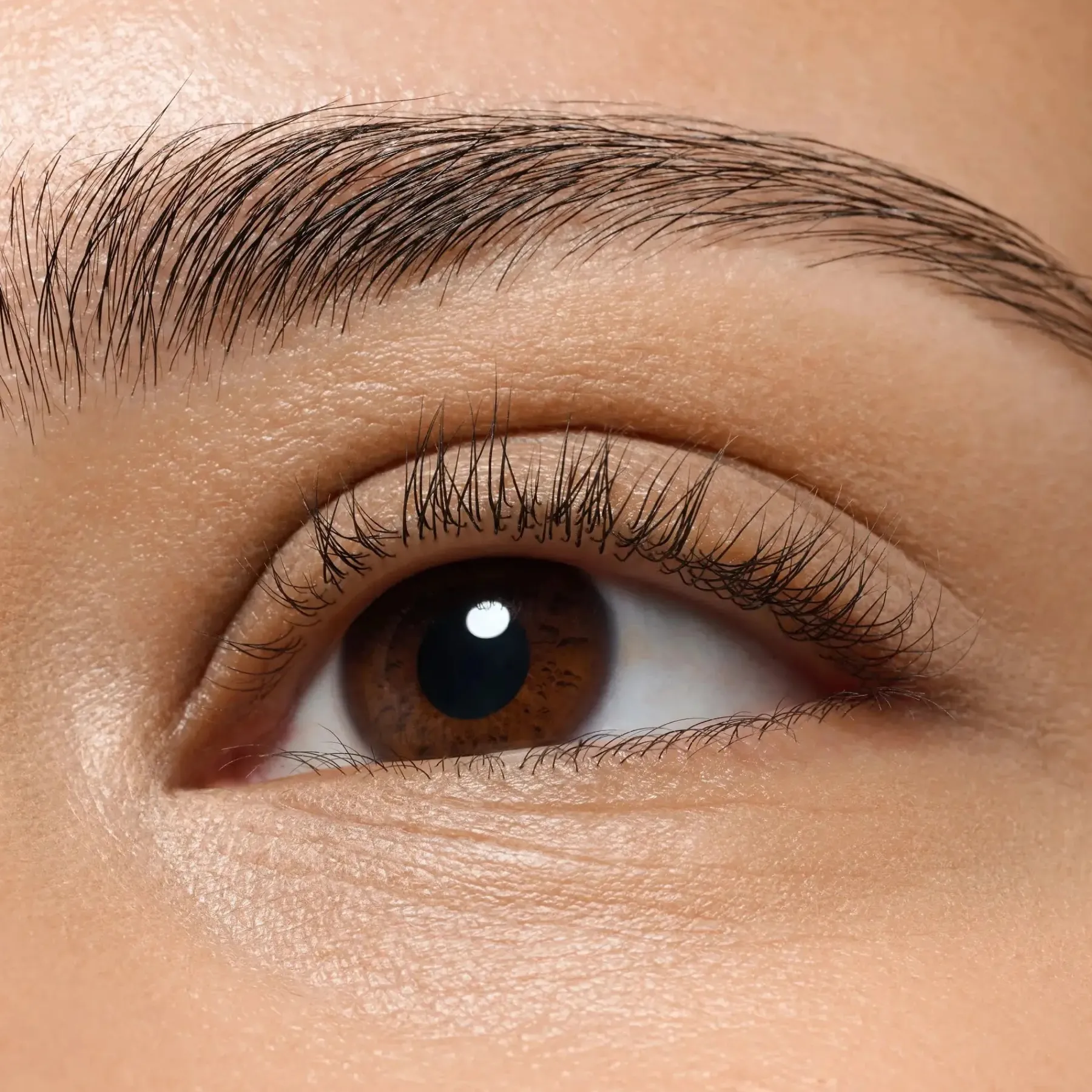 Sale What The Length! Lash Growth Serum Wimpernserum
